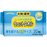 濡れタオル カナッペ ウェットタオル 大判・厚手 1パック(30枚入)