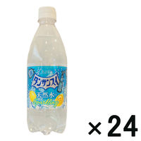 【アウトレット】チェリオ タンサンスイレモン 1箱(24本入)