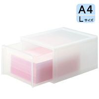 引き出し収納 システムケースL A4対応 リス