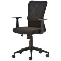 サンワサプライ メッシュチェア(ランバーサポートタイプ) 肘付 ブラック SNC-NET14ABK 1脚 (わけあり品)