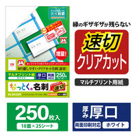 エレコム 名刺用紙 速切クリアカット マルチプリント紙 白 250枚 MT-JMKN2WNNZ