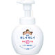 キレイキレイ 薬用泡ハンドソープ 本体250mL シトラスフルーティ【泡タイプ】